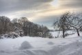Winter 28.12.2010_13
